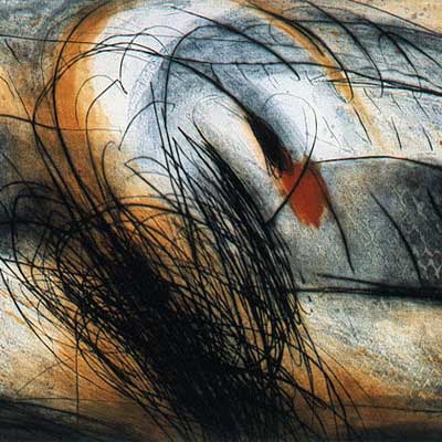 VÉNUS (I) - 2002 - Eau-forte, pointe sèche - 75cm x 105cm 